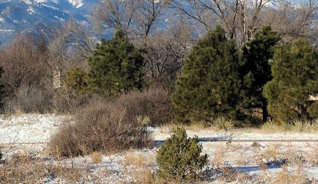 Colorado Springs Getaway near AFA, hiking, shopping and walking trailnSTR-1308