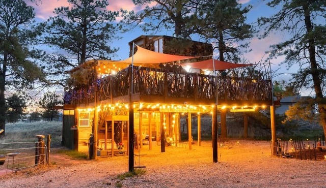 Colorado Treehouse Magic at Houses High Treesort