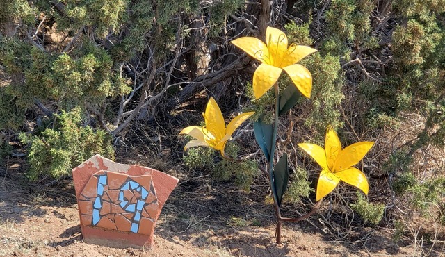 Colorful, cozy, comfortable en suite in Santa Fe, NM