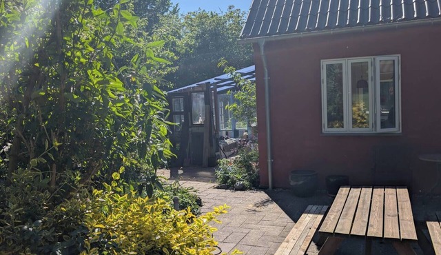 Colorful home on a natural plot with its own small forest