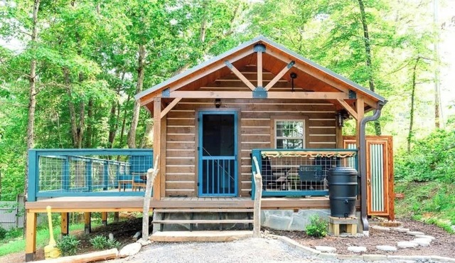 Colorful Log Cabin w Private Trails and Firepits