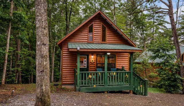 Colorful Sunflower Cabin - Bring your pets - Perfect for 1 or a romantic Getaway