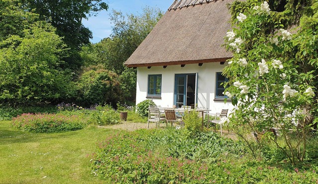 Colour joy in thatched house of the north coast