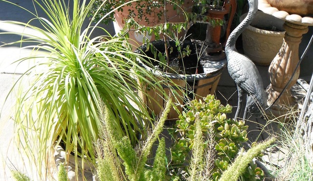 Colusa Riverside Inn