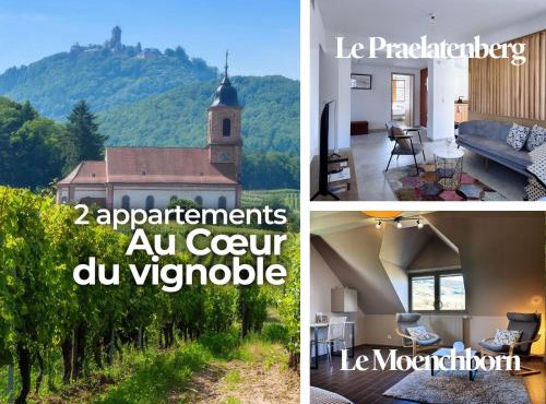 Combo Praelatenberg 2 appartements dans la même maison