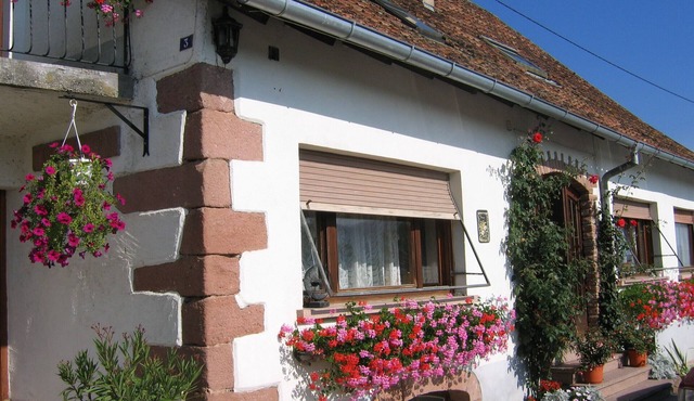 Come and discover the Floralies in the heart of the Val de Villé