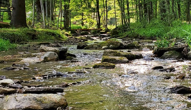 Come and enjoy some peace and quiet at the Pumpkin hollow Inn