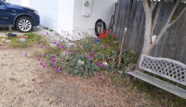 Come and enjoy the perfect getaway.