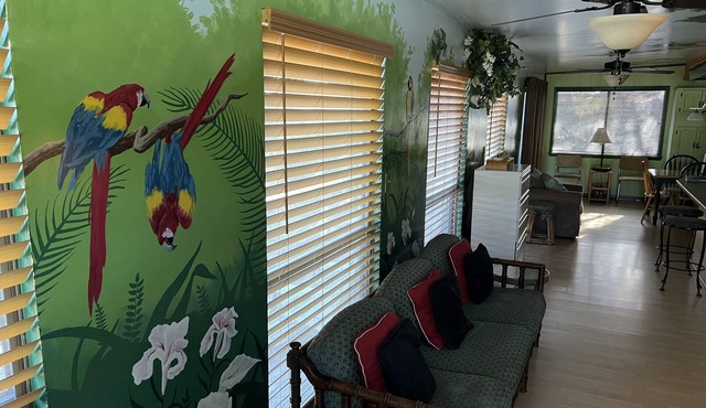 Come and experience Paradise at Canyon Lake