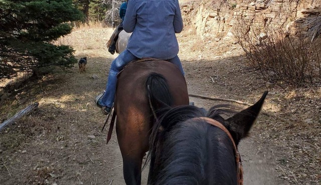 Come camping on a 100 year old cattle ranch