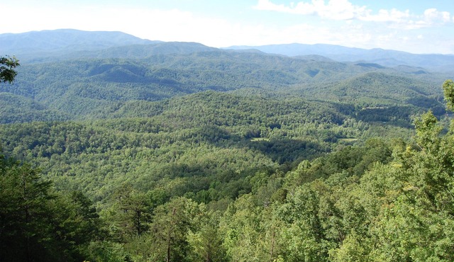 Come enjoy Christmas in the Smokies!