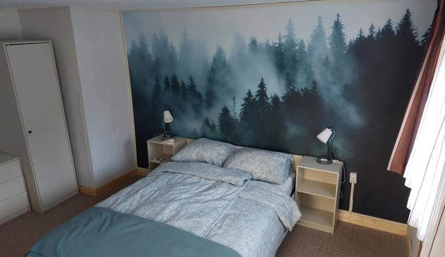 Come enjoy peace, space and nature of the Erstgebergte in apartment Vos in Großrückerswalde