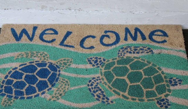 Come Enjoy Sea-renity @ Hernando Beach!