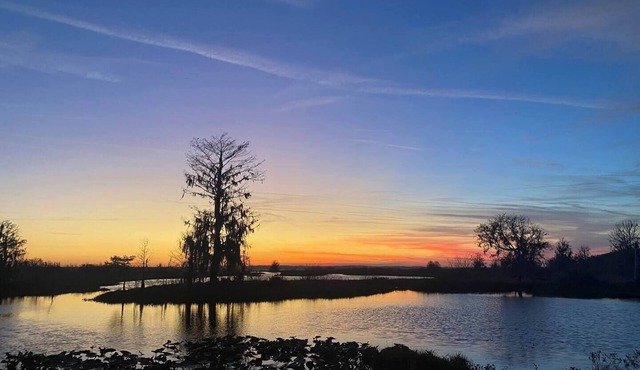 Come enjoy this cozy Jeep-themed get away in Cross Creek, FL.