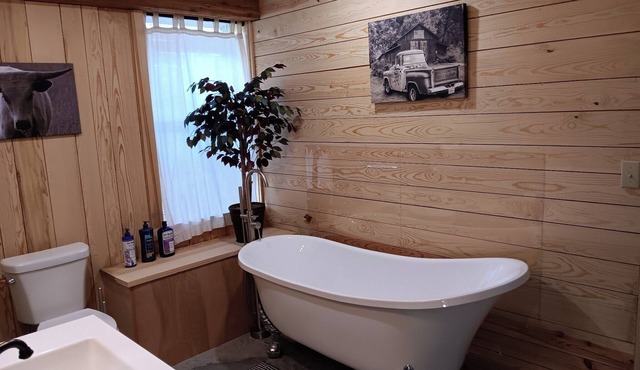 Come & enjoy your stay in our Barndomiinium near Buffalo National River/Hiking