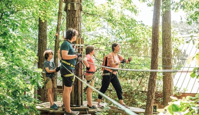 Come for a break, stay for the fun in Williamsburg!