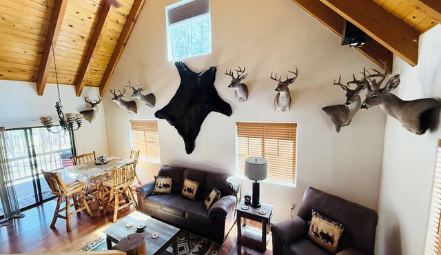 Come Get Cozy in The Coues Cabin