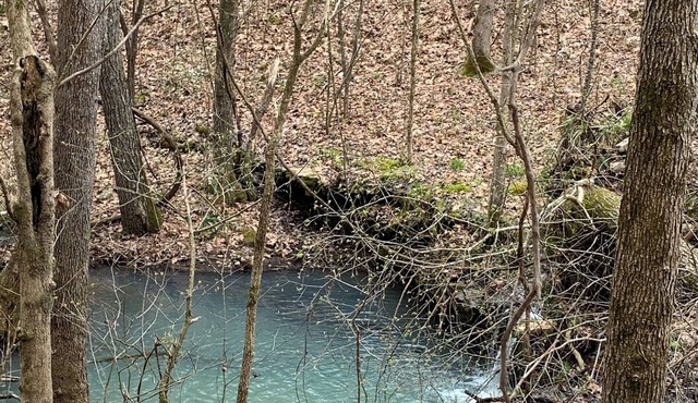 Come GLAMP at our primitive cabin beside the creek!