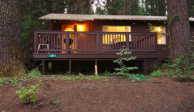 Come Home to the Little Pine Cabin at Yosemite Forest Lodge!