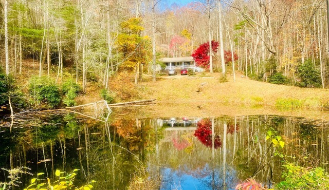 Come relax at Duck Pond Mountain Retreat w/stream & pond on 9 acres