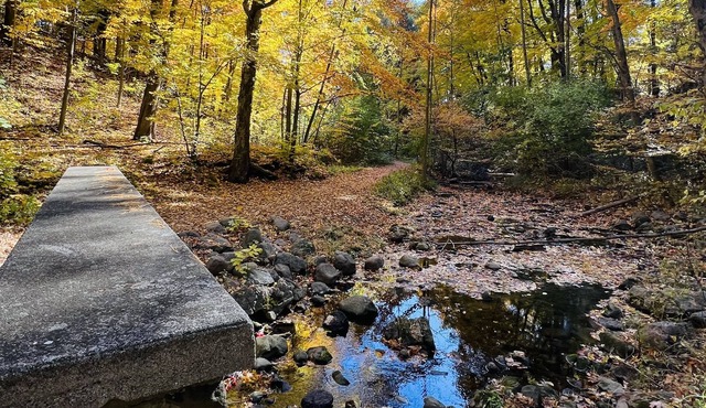 Come see Fall Colors in the Country and take up some hiking at local state parks