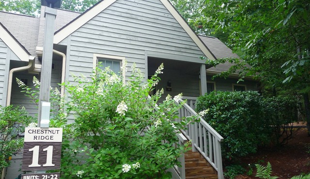Come Snuggle in the Tree Frog & Enjoy Great Sapphire Valley Resort Amenities!