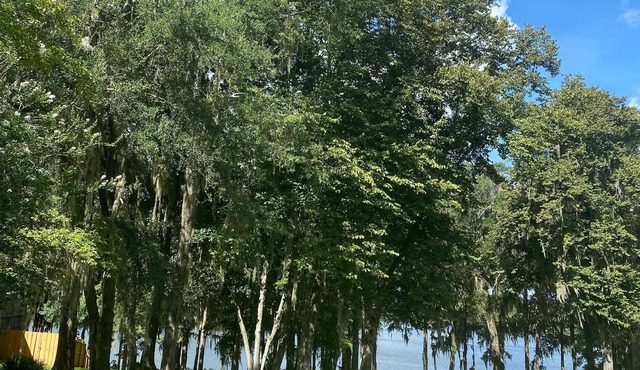 Come stay and relax at the elegant Bienvenue Bed and Breakfast Inn