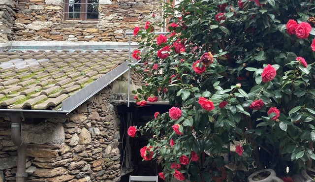 Come stay in our "Little Nest"!