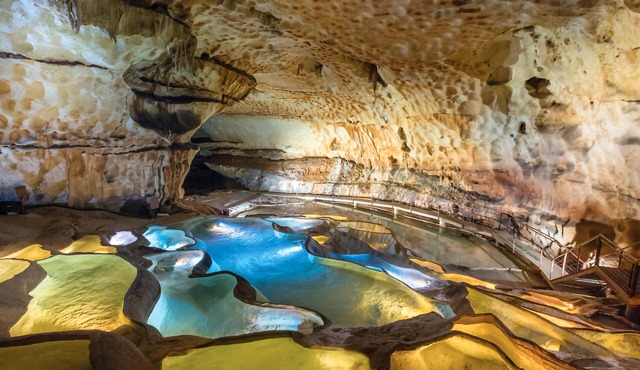 Come to this beautiful cottage in a quiet location near the famous village of Vogüé.