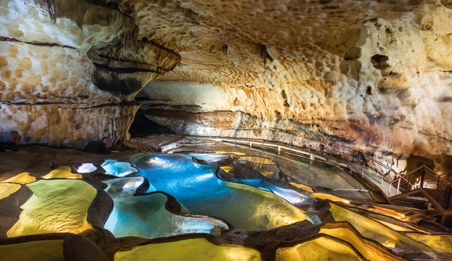 Come to this beautiful cottage in a quiet location near the famous village of Vogüé.