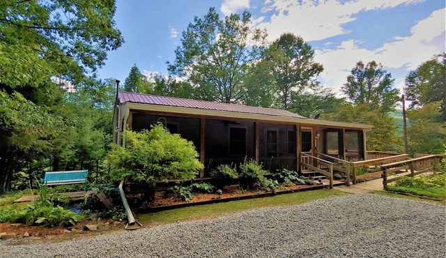 Come unplug and relax in our cabin nestled in the blueridge mountains!