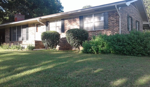 Comfort and Chickens