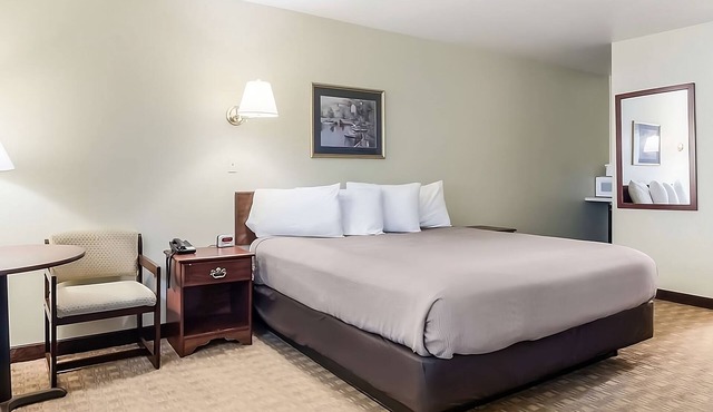 Comfort and Convenience in GuestHouse Montesano! Free Parking, Pet-friendly