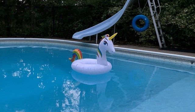 Comfort and privacy with views of the harbour! Only a short walk to downtown!