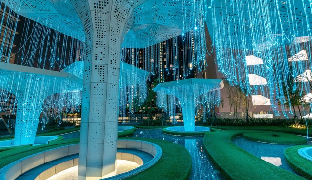 Comfort & Cozy Family Suite