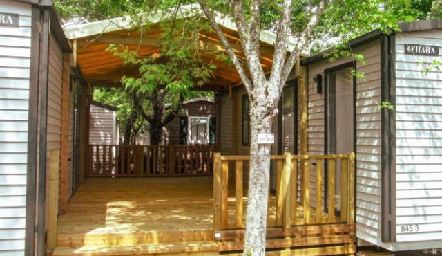 Comfort for 12: Dual Mobile Homes with Terrace