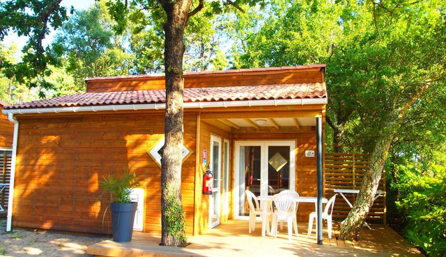 Comfort* "hazelnut" C (sleeps 4)