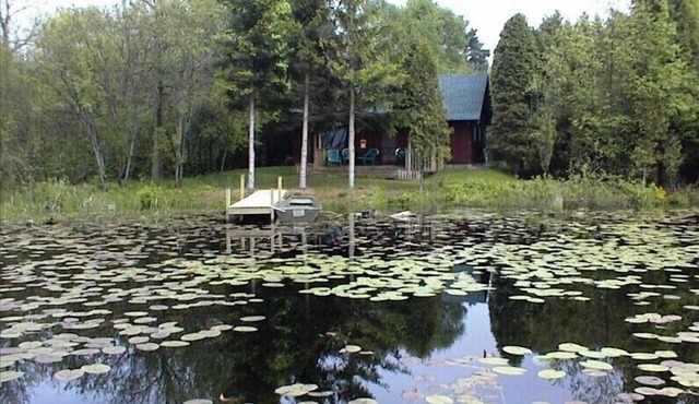 Comfort in Natural Surroundings