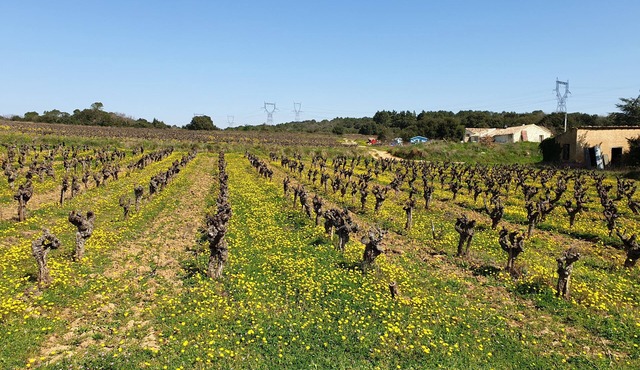 comfort in nature in a 17th century farmhouse, price per room