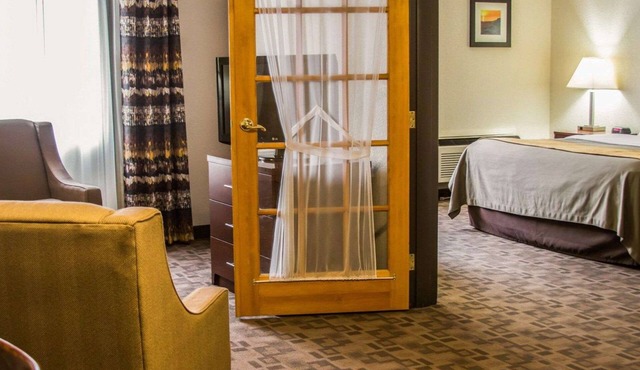 Comfort Inn Birch Run - Frankenmuth