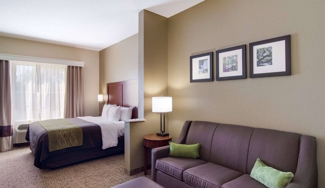 Comfort Inn Blackshear Hwy 84