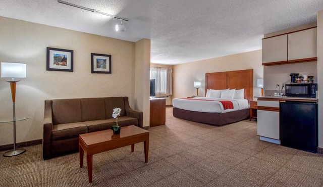 Comfort Inn Denver Southeast Area