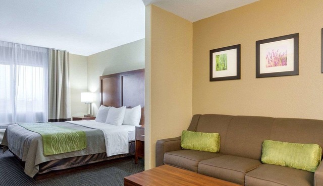Comfort Inn Garden City