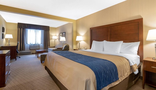 Comfort Inn Iron Mountain North