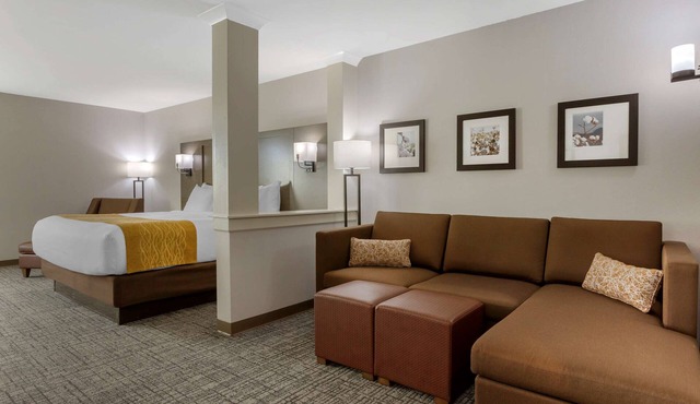 Comfort Inn Jonesboro Central