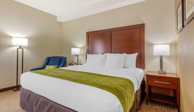 Comfort Inn Lenoir City-Knoxville
