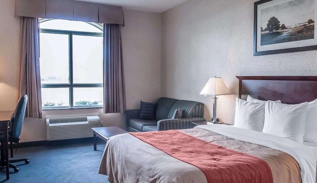 Comfort Inn Mississauga