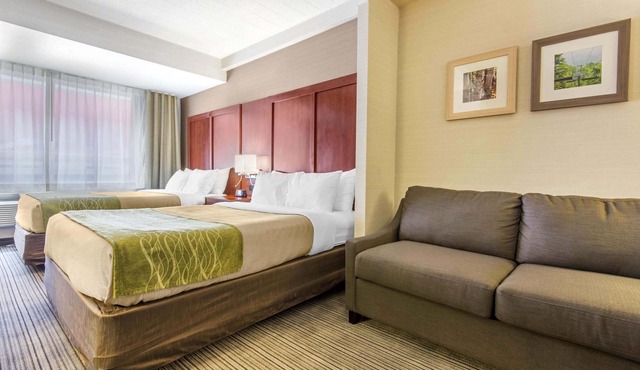 Comfort Inn & Suites