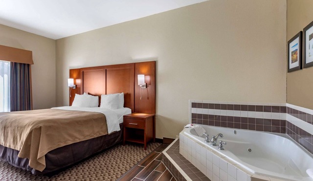 Comfort Inn & Suites Carbondale University Area