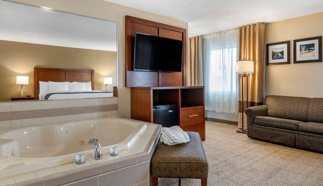 Comfort Inn & Suites Diamondale – Lansing